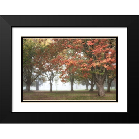 The Meadow 4 Black Modern Wood Framed Art Print with Double Matting by Poinski, Dianne