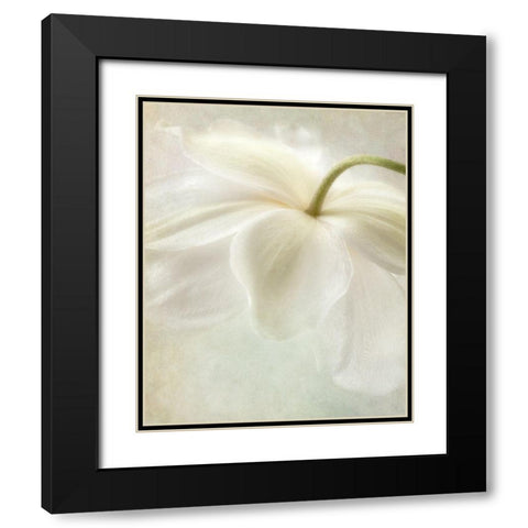 Spring Bonnet II Black Modern Wood Framed Art Print with Double Matting by Poinski, Dianne