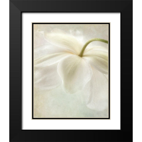 Spring Bonnet II Black Modern Wood Framed Art Print with Double Matting by Poinski, Dianne