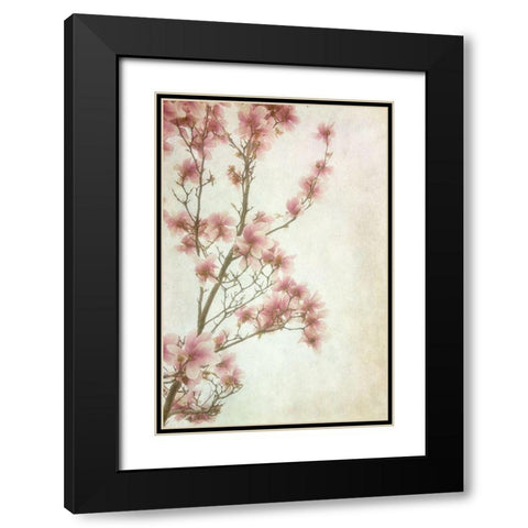 Pinker II Black Modern Wood Framed Art Print with Double Matting by Poinski, Dianne