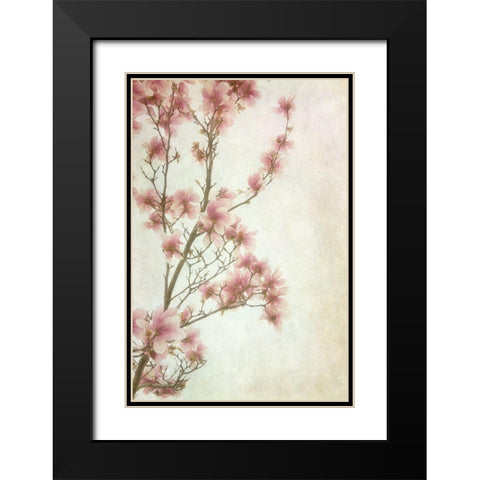 Pinker II Black Modern Wood Framed Art Print with Double Matting by Poinski, Dianne