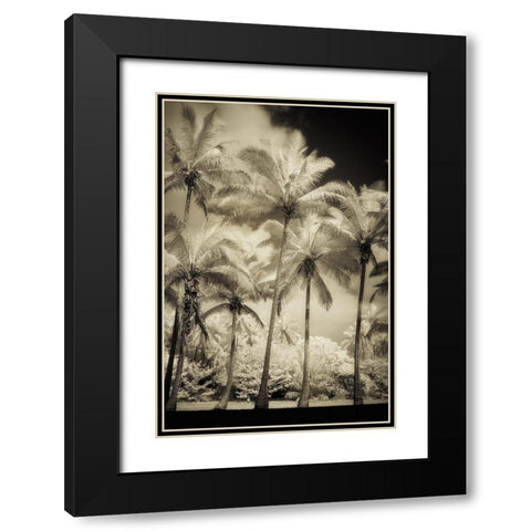White Palms 1 Black Modern Wood Framed Art Print with Double Matting by Poinski, Dianne