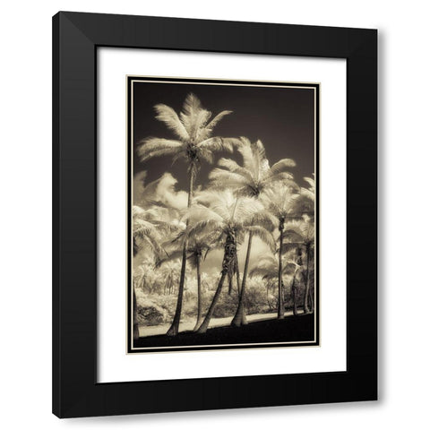 White Palms 2 Black Modern Wood Framed Art Print with Double Matting by Poinski, Dianne