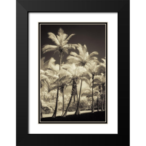 White Palms 2 Black Modern Wood Framed Art Print with Double Matting by Poinski, Dianne
