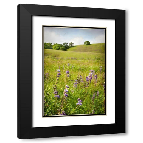 Wildflower Hill 3 Black Modern Wood Framed Art Print with Double Matting by Poinski, Dianne