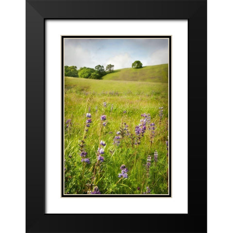 Wildflower Hill 3 Black Modern Wood Framed Art Print with Double Matting by Poinski, Dianne