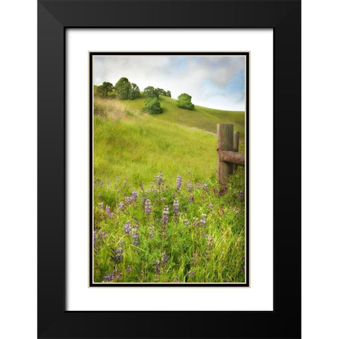 Wildflower Hill 4 Black Modern Wood Framed Art Print with Double Matting by Poinski, Dianne