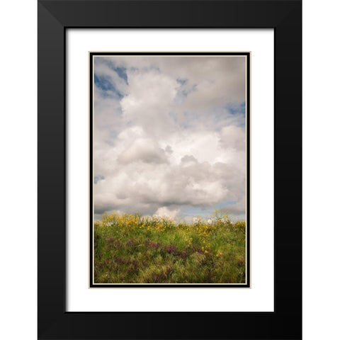 Blue Sky Vista 1 Black Modern Wood Framed Art Print with Double Matting by Poinski, Dianne