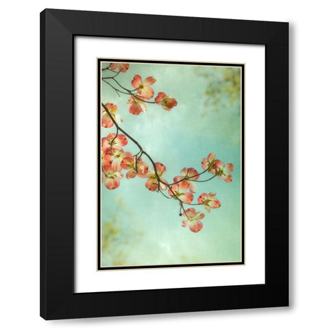 Pink Petals 1 Black Modern Wood Framed Art Print with Double Matting by Poinski, Dianne