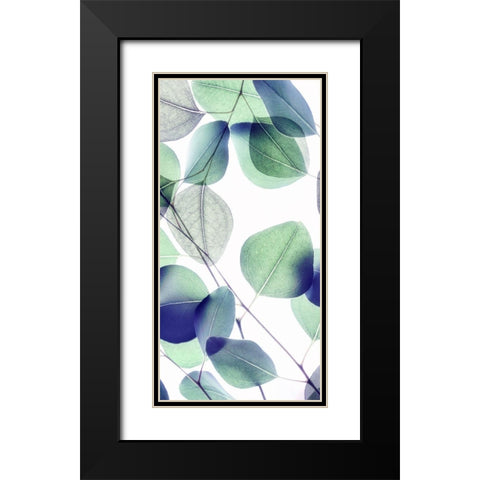 Vibrant Leaves 1 Black Modern Wood Framed Art Print with Double Matting by Poinski, Dianne