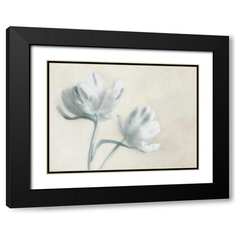 Blue Ivory Blossom 2 Black Modern Wood Framed Art Print with Double Matting by Poinski, Dianne