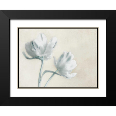 Blue Ivory Blossom 2 Black Modern Wood Framed Art Print with Double Matting by Poinski, Dianne