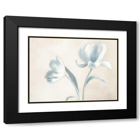 Whispering Sky 1 Black Modern Wood Framed Art Print with Double Matting by Poinski, Dianne