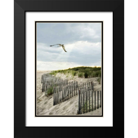Dawning Seagull and Godbeams Black Modern Wood Framed Art Print with Double Matting by Rowland, Joseph