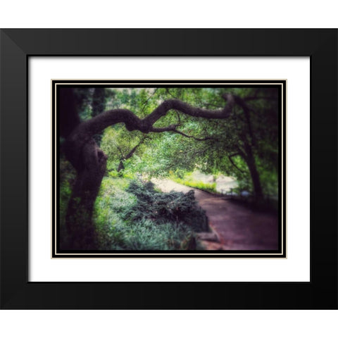 Central Park Tree Black Modern Wood Framed Art Print with Double Matting by Rowland, Joseph