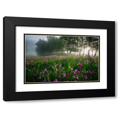 Flower Field Black Modern Wood Framed Art Print with Double Matting by Rowland, Joseph