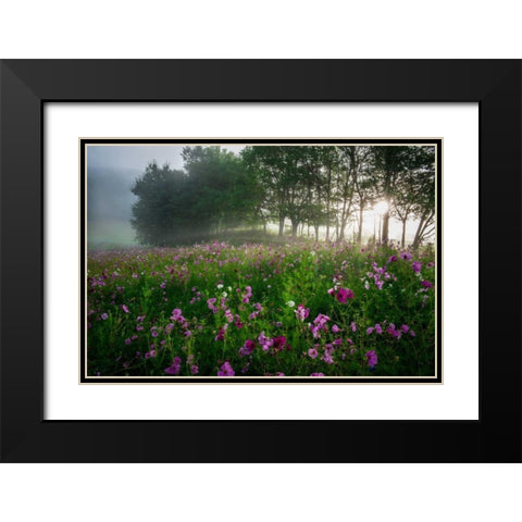 Flower Field Black Modern Wood Framed Art Print with Double Matting by Rowland, Joseph