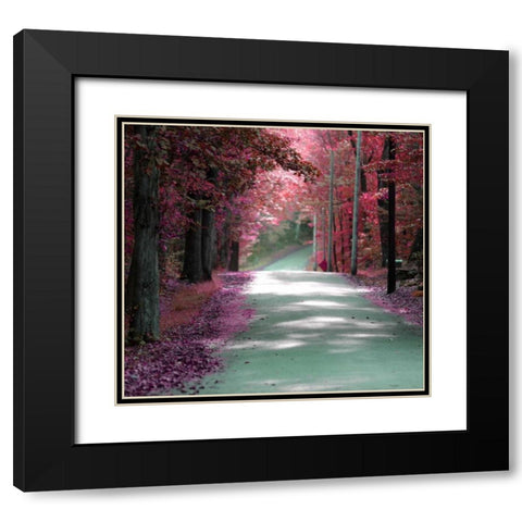 Forest Blush Black Modern Wood Framed Art Print with Double Matting by De Carvalho, Sandro