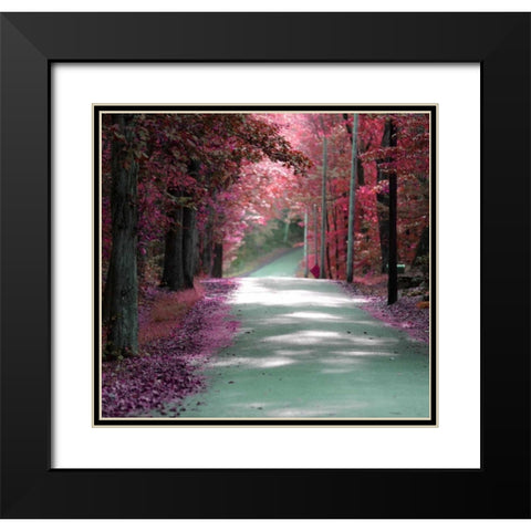 Forest Blush Black Modern Wood Framed Art Print with Double Matting by De Carvalho, Sandro
