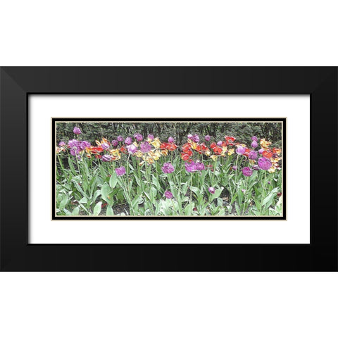 Take Your Pick Black Modern Wood Framed Art Print with Double Matting by Ghanooni, Sarah