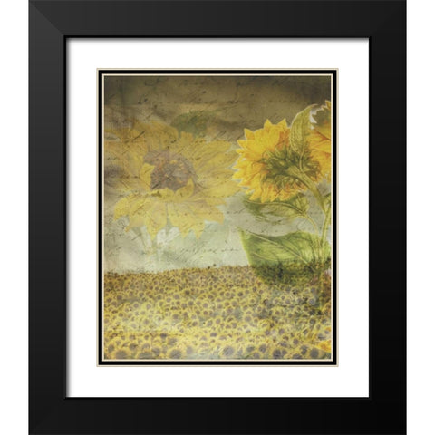 Dear Sunflower Field Black Modern Wood Framed Art Print with Double Matting by Haynes, Smith