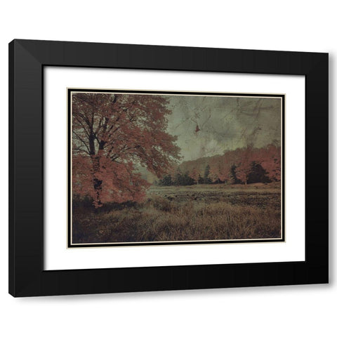 Fall In The Mist Black Modern Wood Framed Art Print with Double Matting by Haynes, Smith