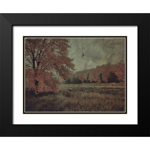 Fall In The Mist Black Modern Wood Framed Art Print with Double Matting by Haynes, Smith