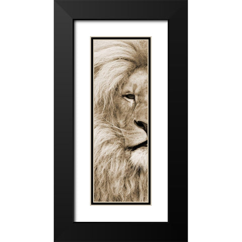 Left Eyed Black Modern Wood Framed Art Print with Double Matting by Lewis, Sheldon