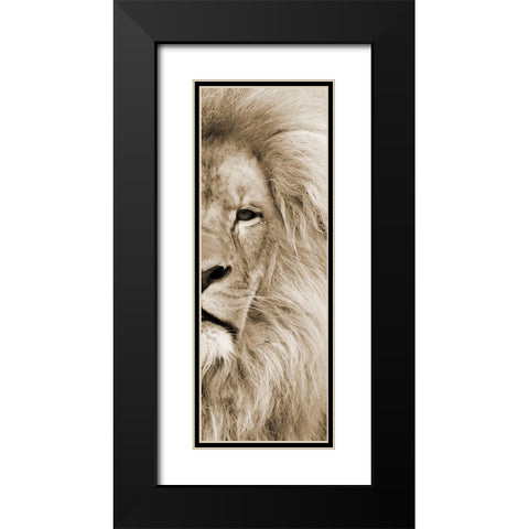 Right Eyed Black Modern Wood Framed Art Print with Double Matting by Lewis, Sheldon