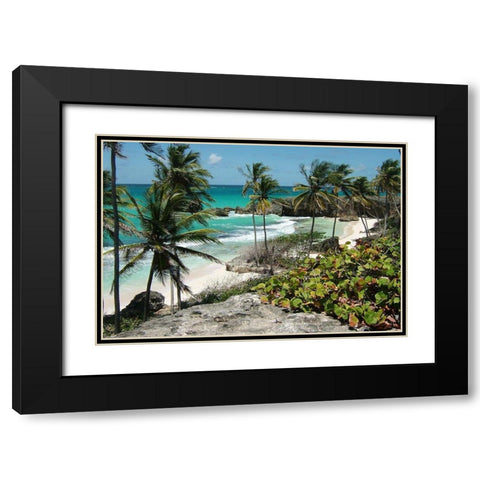Tropical Beauty Black Modern Wood Framed Art Print with Double Matting by Lewis, Sheldon