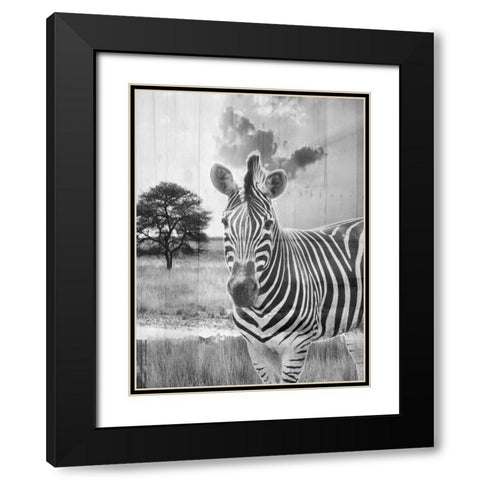 Safari Black Modern Wood Framed Art Print with Double Matting by Lewis, Sheldon