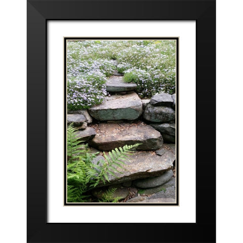 The Path Black Modern Wood Framed Art Print with Double Matting by Lewis, Sheldon