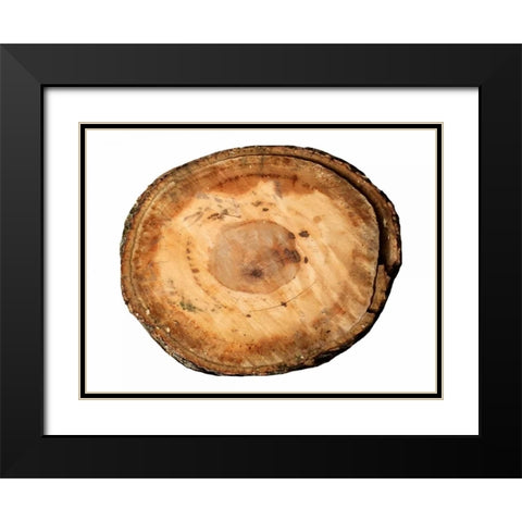 Earthy Rings Of Ages Black Modern Wood Framed Art Print with Double Matting by Lewis, Sheldon