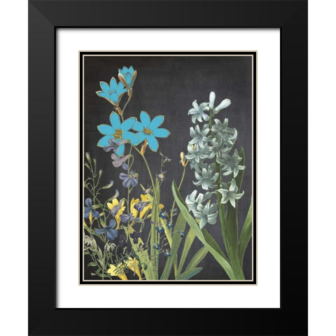 Fresh Meadow Bloom Black Modern Wood Framed Art Print with Double Matting by Lewis, Sheldon