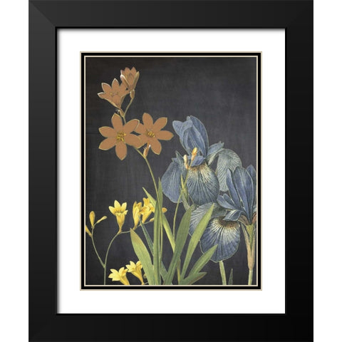 Meadow Bloom Black Modern Wood Framed Art Print with Double Matting by Lewis, Sheldon