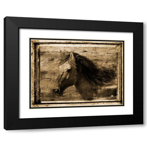 Noble Steed Black Modern Wood Framed Art Print with Double Matting by Lewis, Sheldon