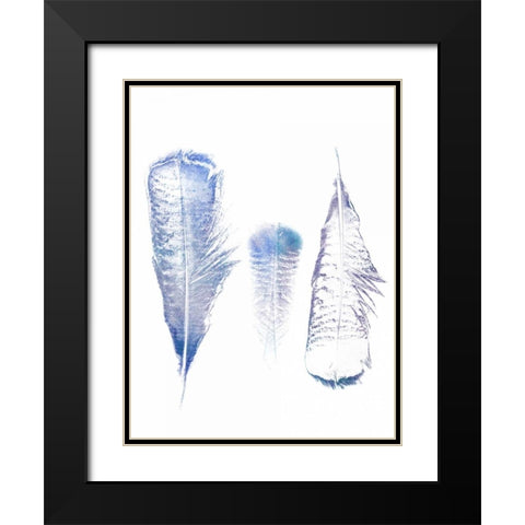 Multi Feather 1 Black Modern Wood Framed Art Print with Double Matting by Lewis, Sheldon