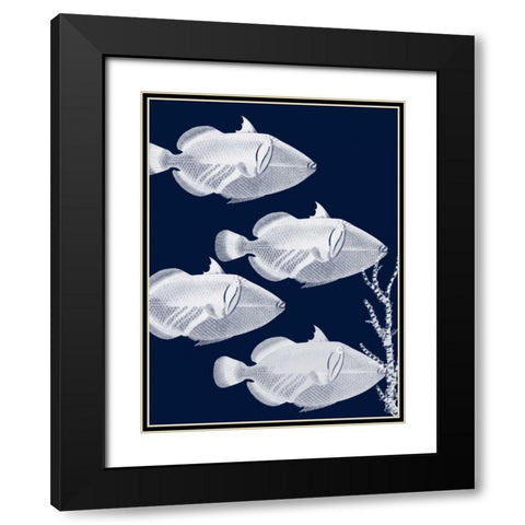 Coastal Orchestra Black Modern Wood Framed Art Print with Double Matting by Lewis, Sheldon