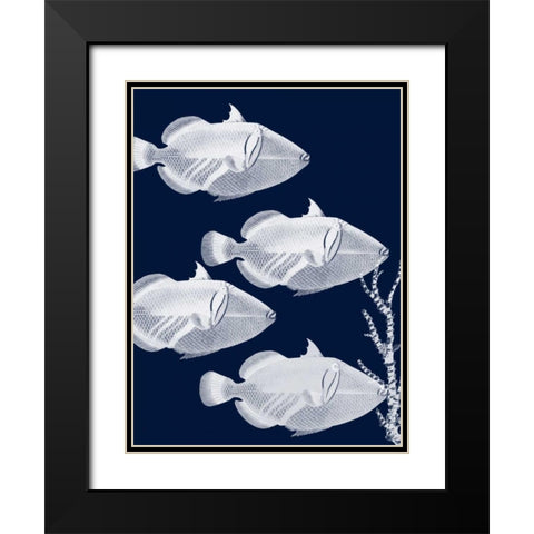 Coastal Orchestra Black Modern Wood Framed Art Print with Double Matting by Lewis, Sheldon