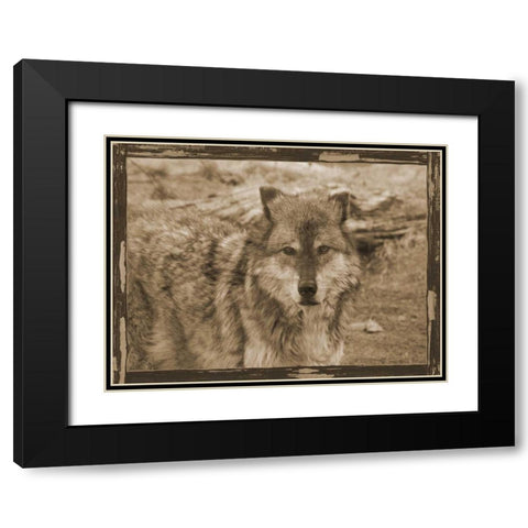 Wild Heart Black Modern Wood Framed Art Print with Double Matting by Lewis, Sheldon