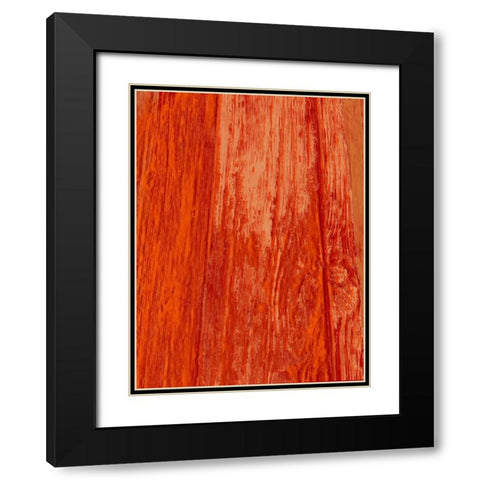 New Age Look Black Modern Wood Framed Art Print with Double Matting by Lewis, Sheldon
