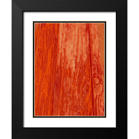 New Age Look Black Modern Wood Framed Art Print with Double Matting by Lewis, Sheldon