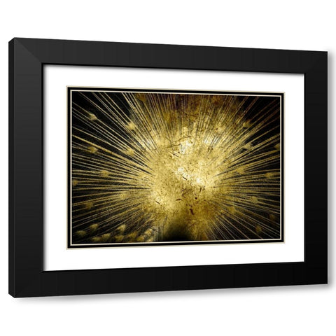 Golden Peacock Black Modern Wood Framed Art Print with Double Matting by Lewis, Sheldon