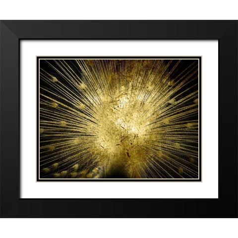 Golden Peacock Black Modern Wood Framed Art Print with Double Matting by Lewis, Sheldon