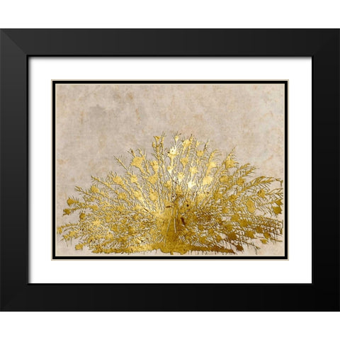 Ivory Coast Peacock Black Modern Wood Framed Art Print with Double Matting by Lewis, Sheldon