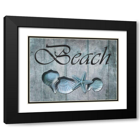 Beach Shells Black Modern Wood Framed Art Print with Double Matting by Lewis, Sheldon