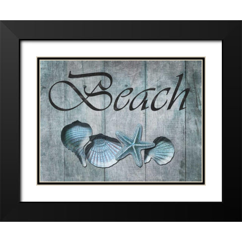 Beach Shells Black Modern Wood Framed Art Print with Double Matting by Lewis, Sheldon