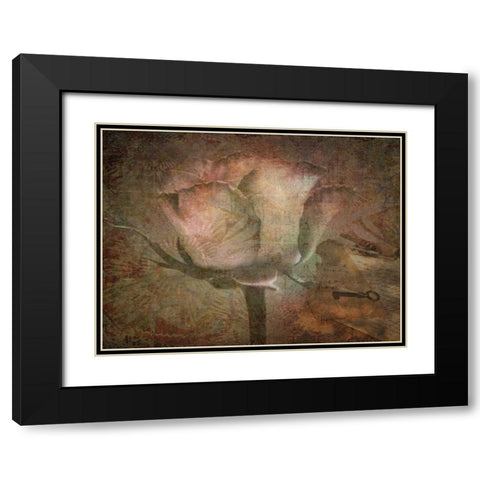 Rose Faith Black Modern Wood Framed Art Print with Double Matting by Lewis, Sheldon