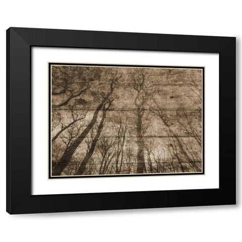 Up Into The Woods Black Modern Wood Framed Art Print with Double Matting by Lewis, Sheldon
