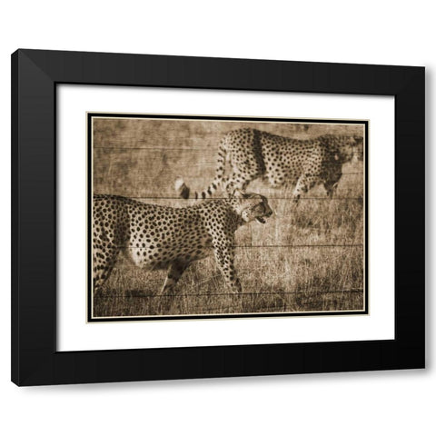 Safari Team Black Modern Wood Framed Art Print with Double Matting by Lewis, Sheldon